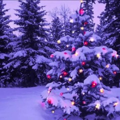 ホワイトクリスマス