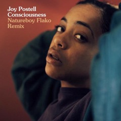 Joy Postell - Consciousness (Natureboy Flako Remix)