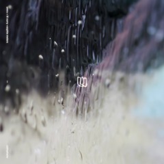 umru + rasha + sophie meiers―cellophane
