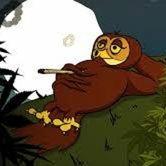 liquid Owls