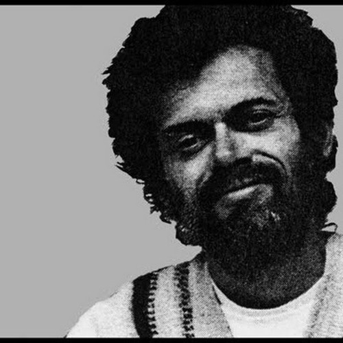 Terence McKenna DMT Psilocybin Podcast
