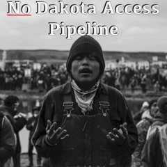 Dakota Access Pipeline Protest Track