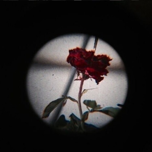 Dead If i Say So - (prod. by IOF)