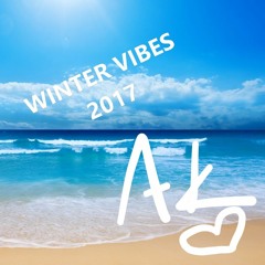 ARIELLE KAMIN WINTER VIBES 2017