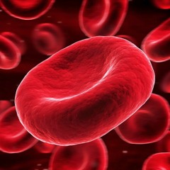 Staying Young With the Help Of Young Blood - with Dr. Jesse Karmazin of Ambrosia Plasma