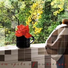 IN SPITE OF OURSELVES