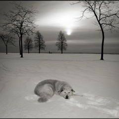 snowtime sadness