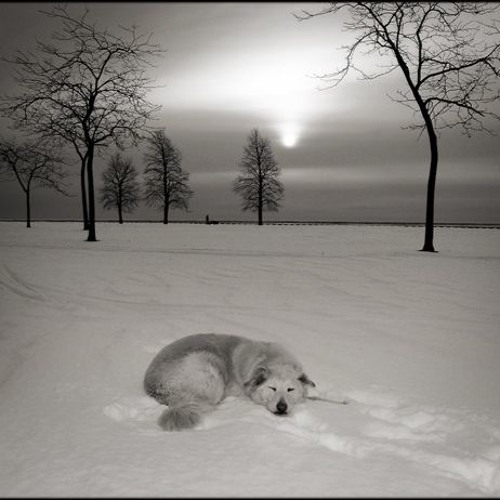 snowtime sadness