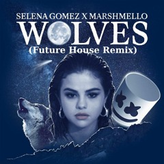 Selena Gomez & Marshmello - Wolves (Future House Remix)
