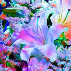 this reeks of flowers