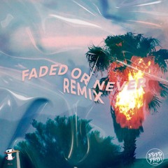 Faded Fox & Sammy Seagull - Faded Or Never