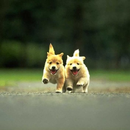 smellin like guap (prod. cashmoneyap)