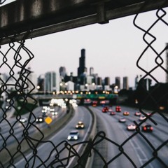 A Bunch of Dirty Birds