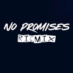 Ric Hundiee - No Promises (RicMix)