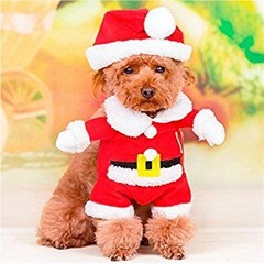 It's Christmas (Please Pick Up the Phone)