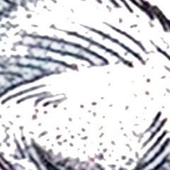 acid realization -  test