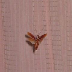 New Statue in a Drafty Museum