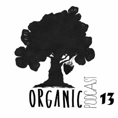 ORGANIC PODCAST 013 - FLABAIRE