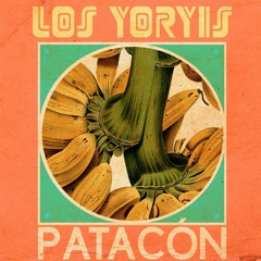 PATACÓN