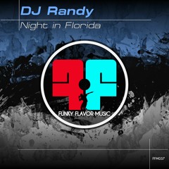 DJ Randy - Night In Florida (Original Mix)  FFM037