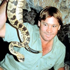 Viper Steve