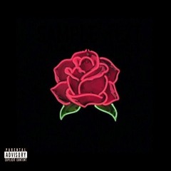 BARBA X GUSACE - LIE