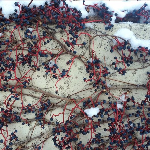 A Christmas Suite For A New England Village, arr. string trio - II. Flurries in mid-afternoon