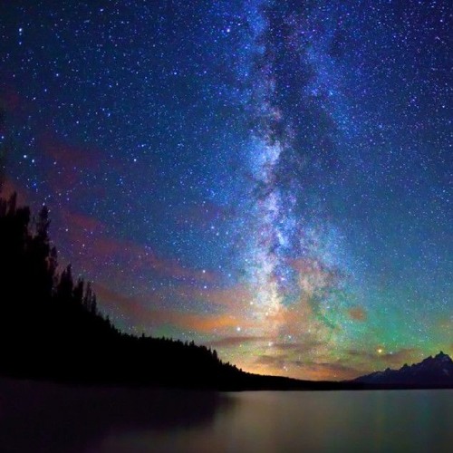 Remembrance - Purple Dive