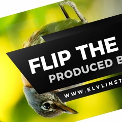 Pop Trap EDM Beat Instrumental - "Flip the Bird"