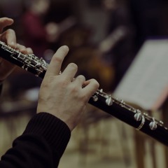 منين أبدا يا قلبي بيانو و كلارنيت Piano Clarinet cover