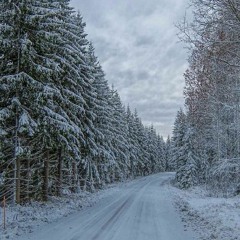 Snowflakes On A Winters Morn
