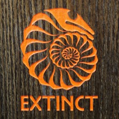 BM9 Small acoustic Strumming