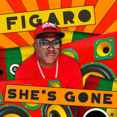 Figaro - She's Gone