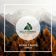 Schulz Audio - Departed