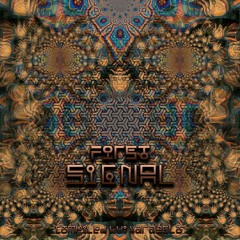 ShamoOrtee - Midnight With Paraphrenia [181]