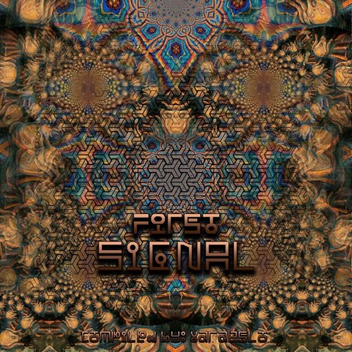 ShamoOrtee - Midnight With Paraphrenia [181]