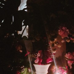 2017/12/24 クリスマス・ラ・イブ ＠ 花あざみ徳川店