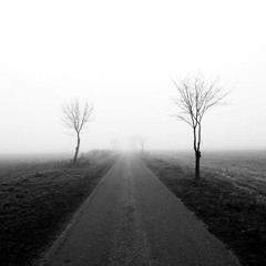 Vincenn - NINside 1.01