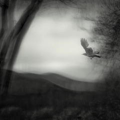 Double Breakdown (megajam)