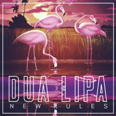Dua Lipa - New Rules (Firat Kacan Deep Remix) New 2018 no jingle !!