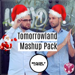 Beaver T & Pinch Xmas Tomorrowland Mashup Pack ! FREE DOWNLOAD !