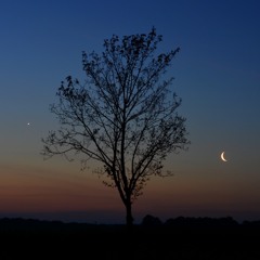 La lune cover (billie marten)