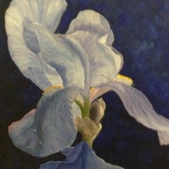 W I L B- Walkin, Strollin