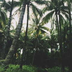 Aloha🌴