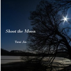 Shoot The Moon