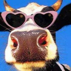 Lawrence Dix & Reezo Hassan - Somewhere In Johannesburg (live Recording)