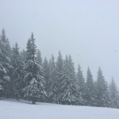 Through The Blizzard