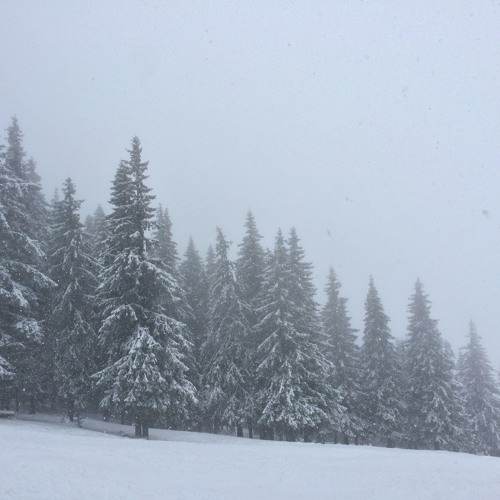 Through The Blizzard