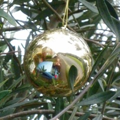 Snow Is Falling (Shakin' and Disturbed Muddle)