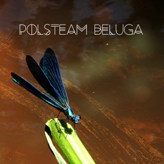 Aside With A Dragonfly